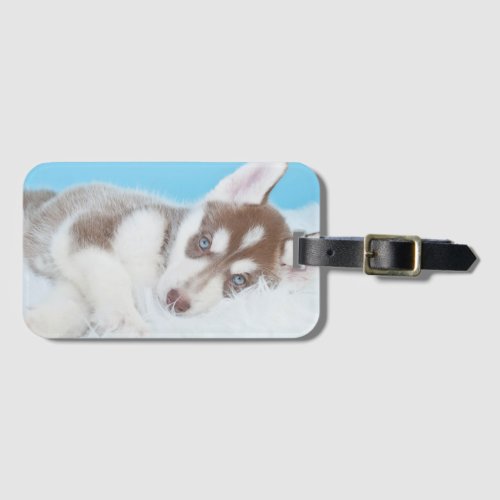 Little Husky Puppy Laying on a Blanket Luggage Tag