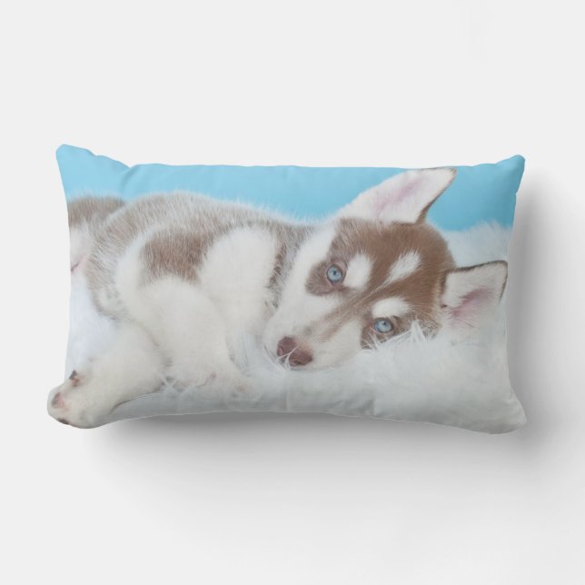 Little Husky Puppy Laying on a Blanket Lumbar Pillow (Front)