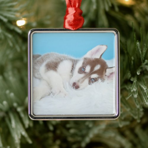 Little Husky Puppy Laying on a Blanket Metal Ornament