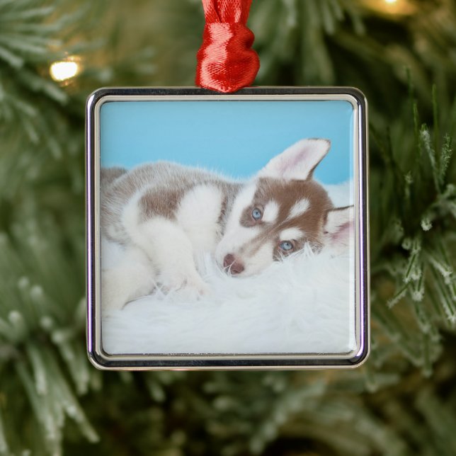 Little Husky Puppy Laying on a Blanket Metal Ornament (Tree)