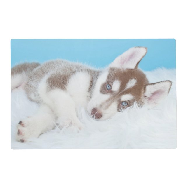 Little Husky Puppy Laying on a Blanket Placemat (Front)