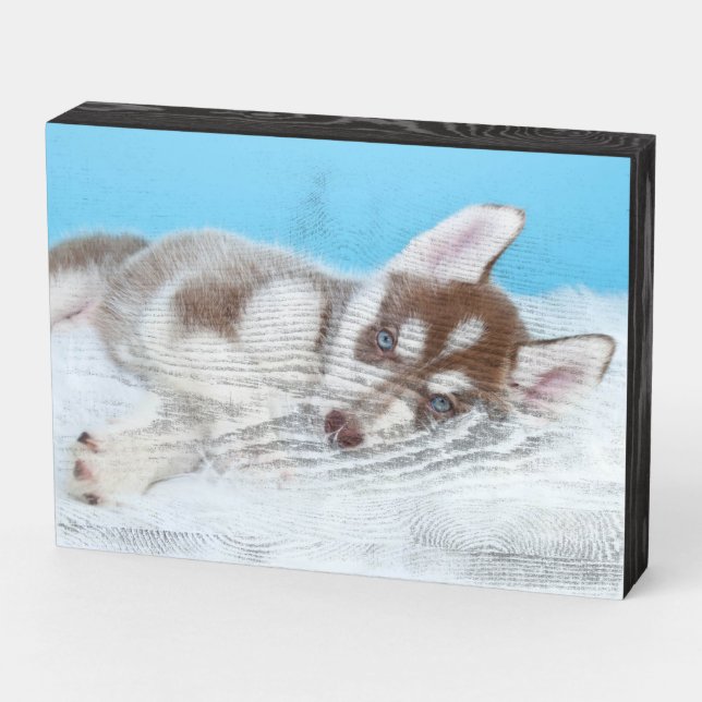 Little Husky Puppy Laying on a Blanket Wooden Box Sign (Angled Horizontal)