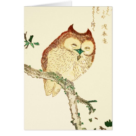 Little Japanese owl Cards (Front)