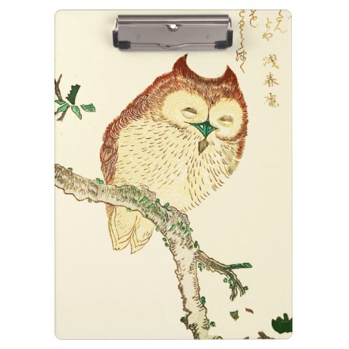 Little Japanese owl Clipboard