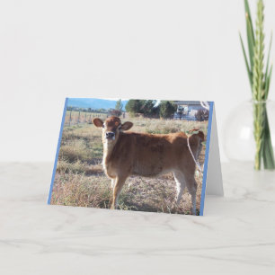 Little Jersey Cow Greeting Card