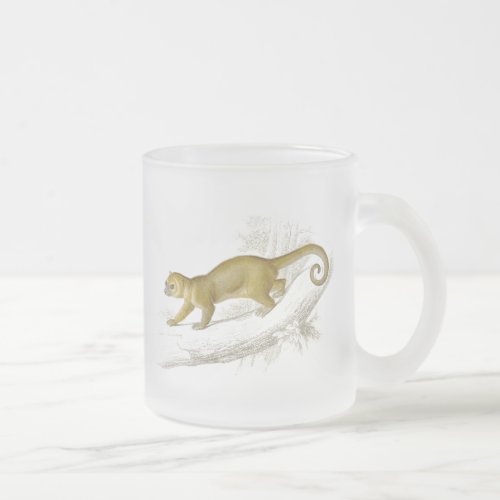 Little kinkajou honey bear pet vintage drawing frosted glass coffee mug