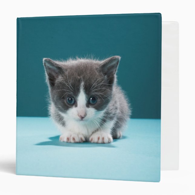 Little Kitten 3 Ring Binder (Front/Inside)