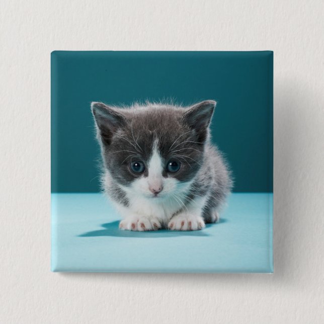 Little Kitten Button (Front)