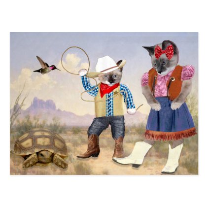 Little Kitten Cowboy Postcard