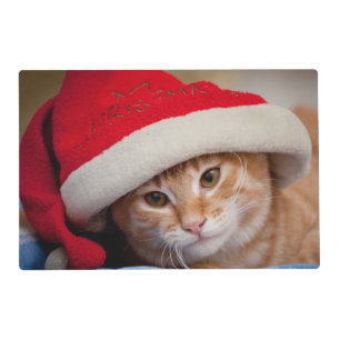 Little Kitten in Red Christmas Hat Placemat