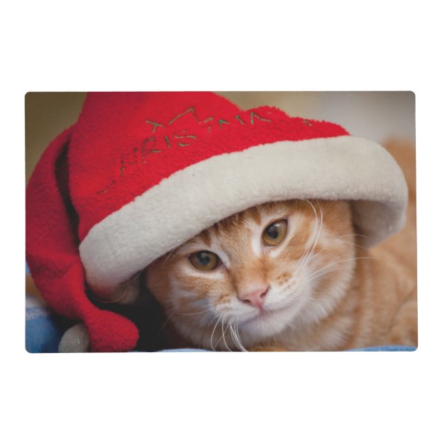 Little Kitten in Red Christmas Hat Placemat (Front)