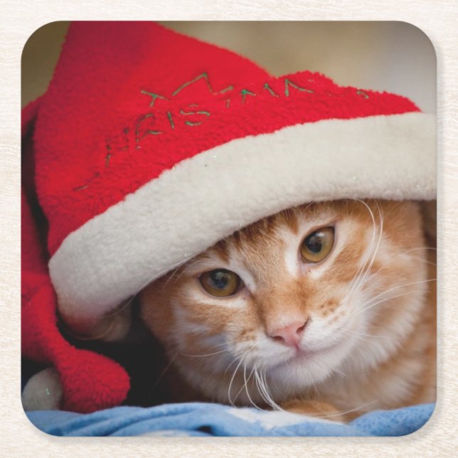 Little Kitten in Red Christmas Hat Square Paper Coaster (Front)