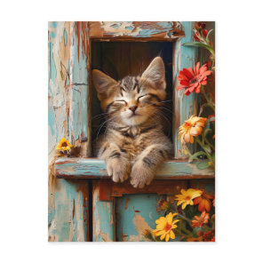 Little Kitten Sleeping in Garden Shed with Bloomin Postcard