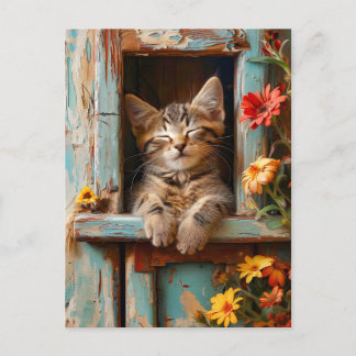 Little Kitten Sleeping in Garden Shed with Bloomin Postcard