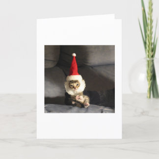 Little Kittie Holiday Card