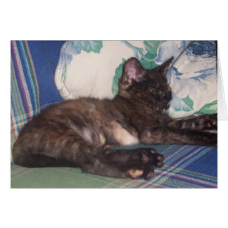 Little Kitty Cards