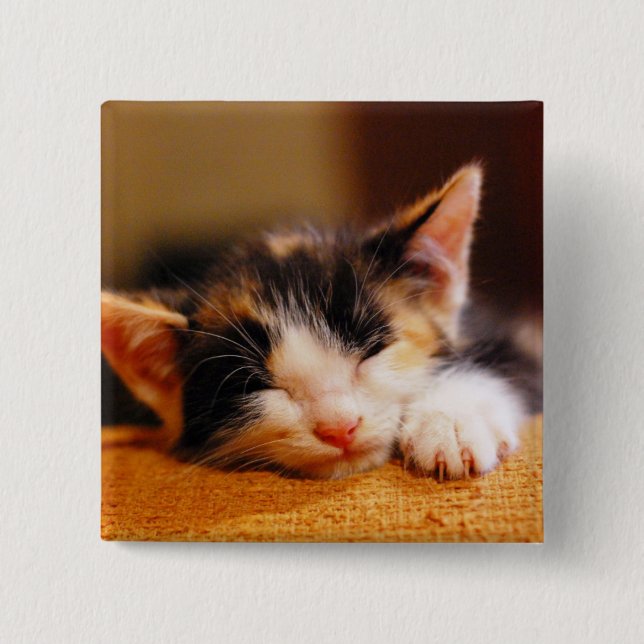 Little Kitty Sleeping Button (Front)