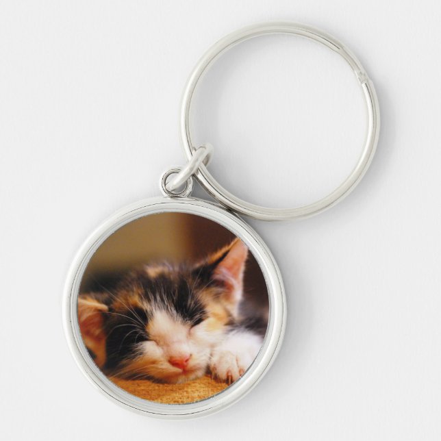 Little Kitty Sleeping Keychain (Front)