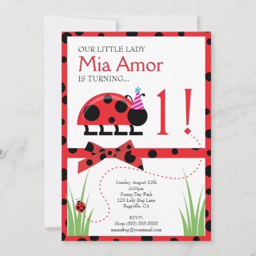 Little Lady Bug Birthday Invitation