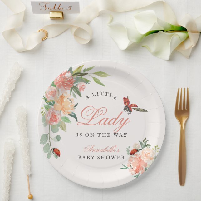 Little Lady Ladybug Roses Girl Baby Shower Paper Plates (Wedding)