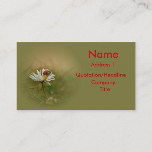 Little ladybug business card