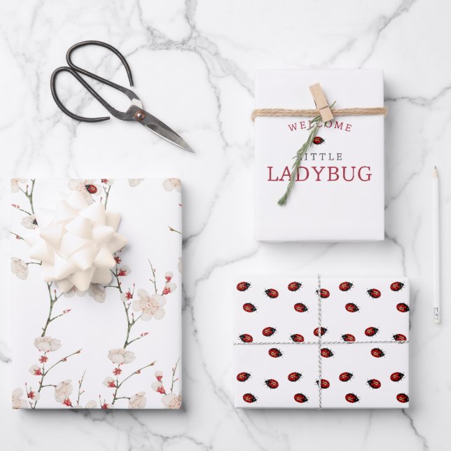 Little Ladybug Pattern Boho  Wrapping Paper Sheets (Front)