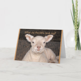 Little Lamb Birthday Card
