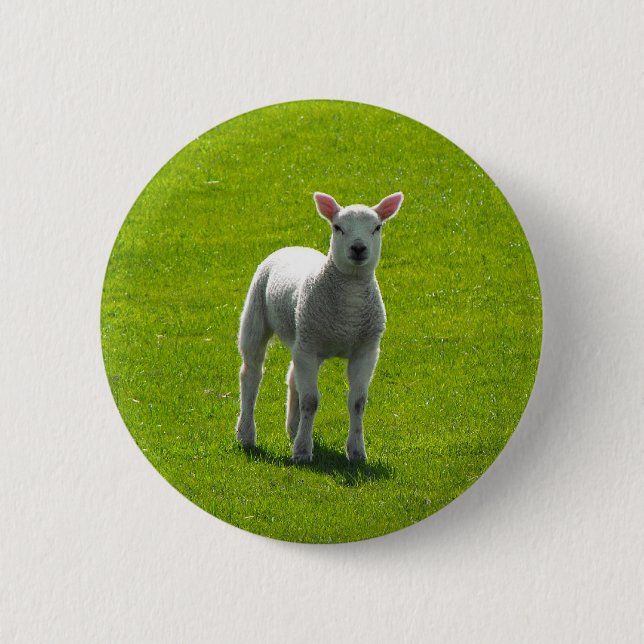 Little Lamb Button (Front)