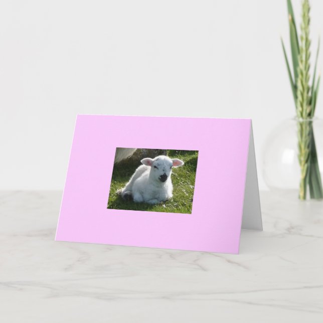 Little Lamb Card (Front)