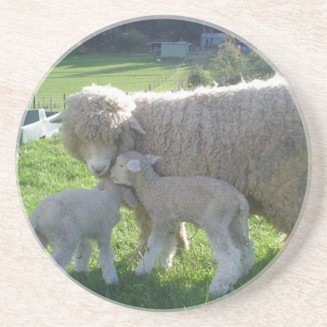 LITTLE LAMB DRINK COASTER (Front)