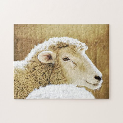 Little lamb in farm house jigsaw puzzle