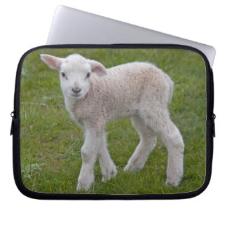 Little Lamb Laptop Sleeve