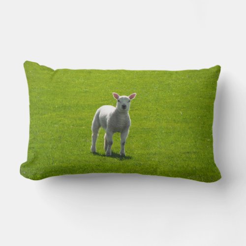 Little Lamb Lumbar Pillow