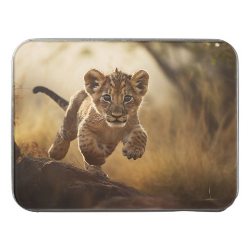 Little Leaping Lion Cub Acrylic Jigsaw Puzzle
