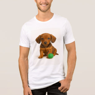 Little Legs, Big Toy – Dachshund Pup Tri-Blend Shirt