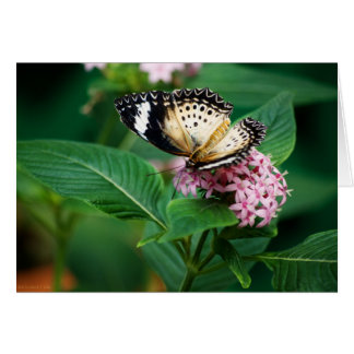 Little Leopard Wings Card