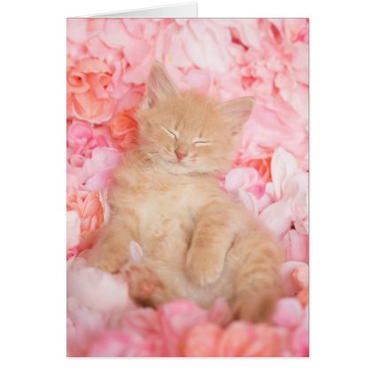 Little Linus Pink Floral Card