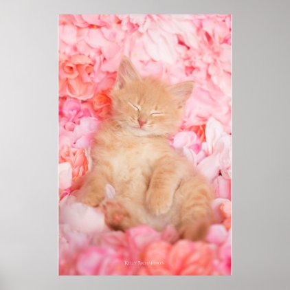 Little Linus Pink Floral Poster