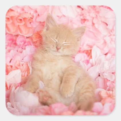 Little Linus Pink Floral Square Sticker