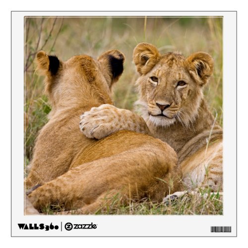 Little Lion Cub Laying On Another Cub Wall Decal