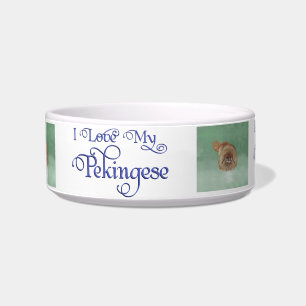 Little Lion Dog Bowl