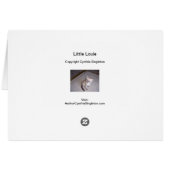 Little Louie Kitten Cat Cards (Back Horizontal)