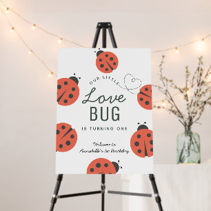 Little Love Bug Ladybug Girl Birthday Welcome Foam Board