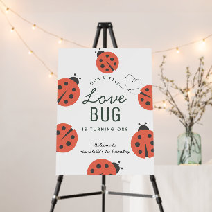 Little Love Bug Ladybug Girl Birthday Welcome Foam Foam Board