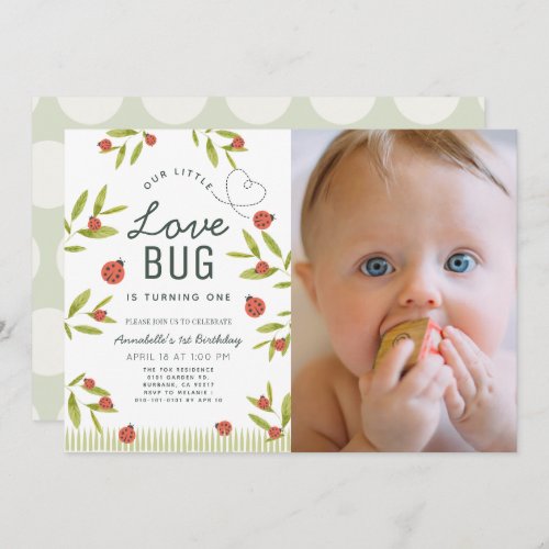 Little Love Bug Ladybug Girl Photo 1st Birthday In Invitation