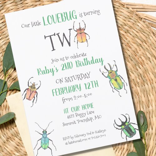 Little Love Bugs Turning Two Second Birthday Invit Invitation