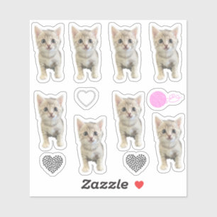 Little Miss Winter - Cat / Kitten  Sticker