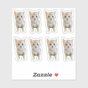 Little Miss Winter - Cat / Kitten Sticker