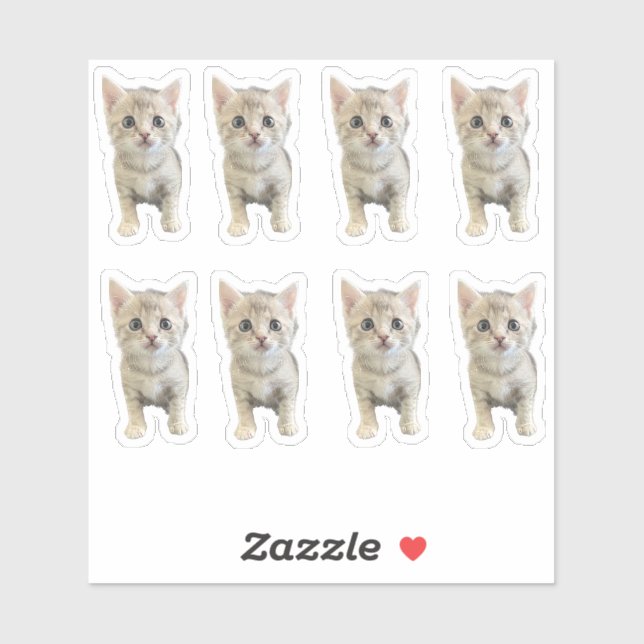 Little Miss Winter - Cat / Kitten  Sticker (Sheet)