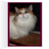 Little Missy Cards (Inside (Right))